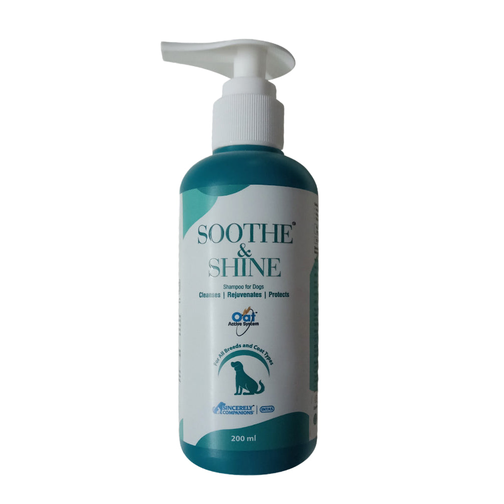 Intas Soothe & Shine Shampoo for Dogs — back view