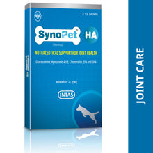 Intas Synopet Ha For Dogs And Cats