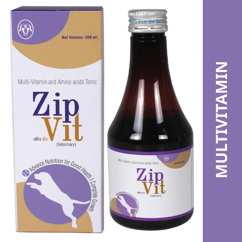 Intas Zipvit Syrup