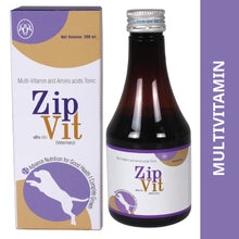 Intas Zipvit Syrup