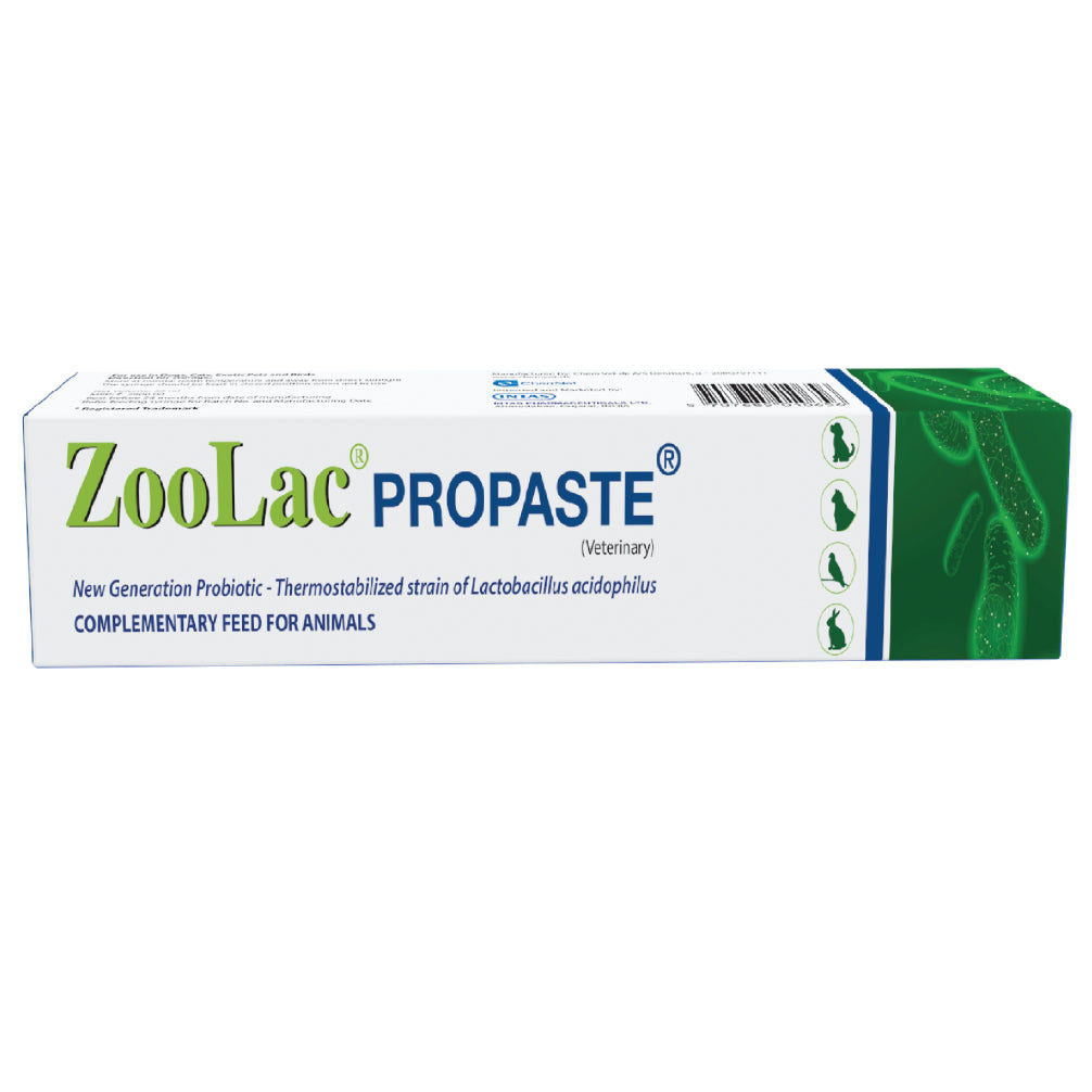 Intas Zoolac Propaste Probiotics for Dogs and Cats — side view