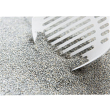 Intersand Cats Exclusive Sodium Bentonite Sand Baby Powder Clumping Unscented Cat Litter - Image 2