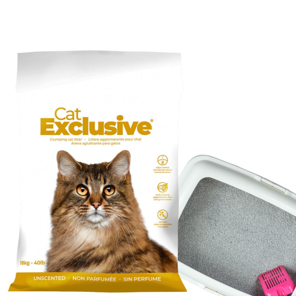 Intersand Cat's Exclusive Sodium Bentonite Clumping Unscented Cat Litter — back view