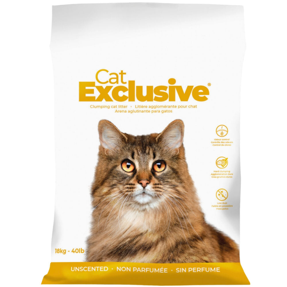Intersand Cat's Exclusive Sodium Bentonite Clumping Unscented Cat Litter — detail shot