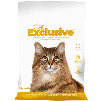 Intersand Cat's Exclusive Sodium Bentonite Clumping Unscented Cat Litter — detail shot
