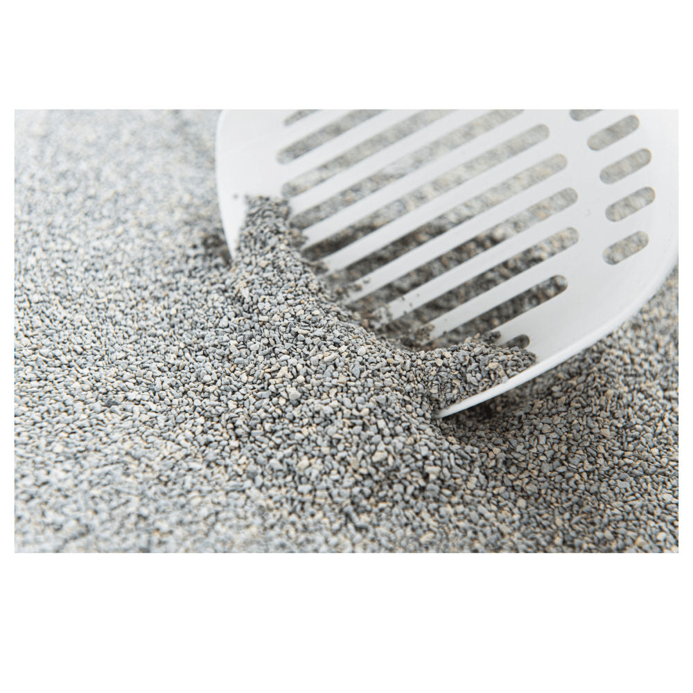 Intersand Scented Odour Lock Calming Baby Powder Cat Litter — detail shot