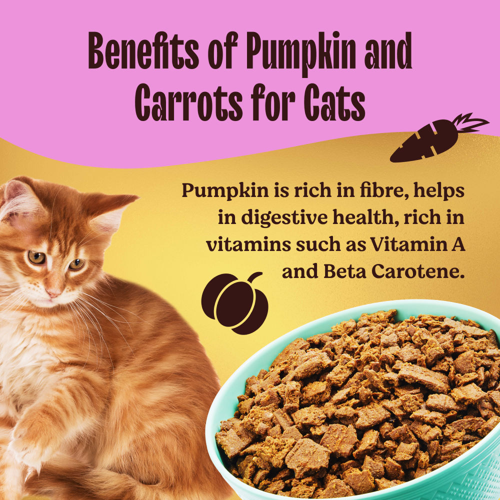 Kennel Kitchen Air Dried Chicken and Mackerel for Cat Dry Food — in use