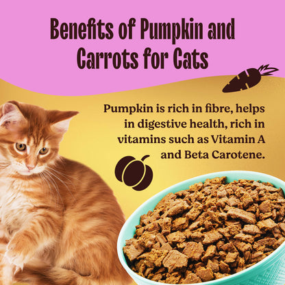 Kennel Kitchen Air Dried Chicken and Mackerel for Cat Dry Food — in use