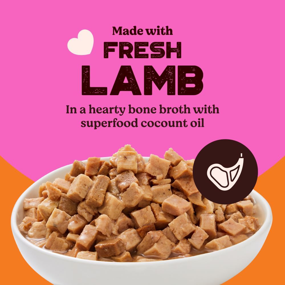 Kennel Kitchen Lamb Chunks in Gravy Puppy & Adult Dog Wet Food — in use