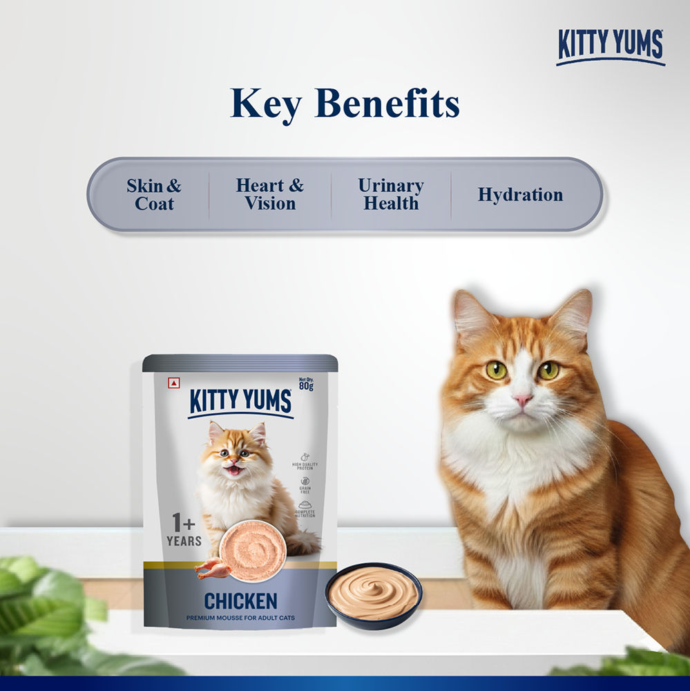 Kitty Yum Chicken Mousse Adult Cat Wet Food — detail shot