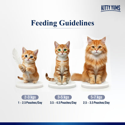 Kitty Yum Chicken Mousse Adult Cat Wet Food — in use