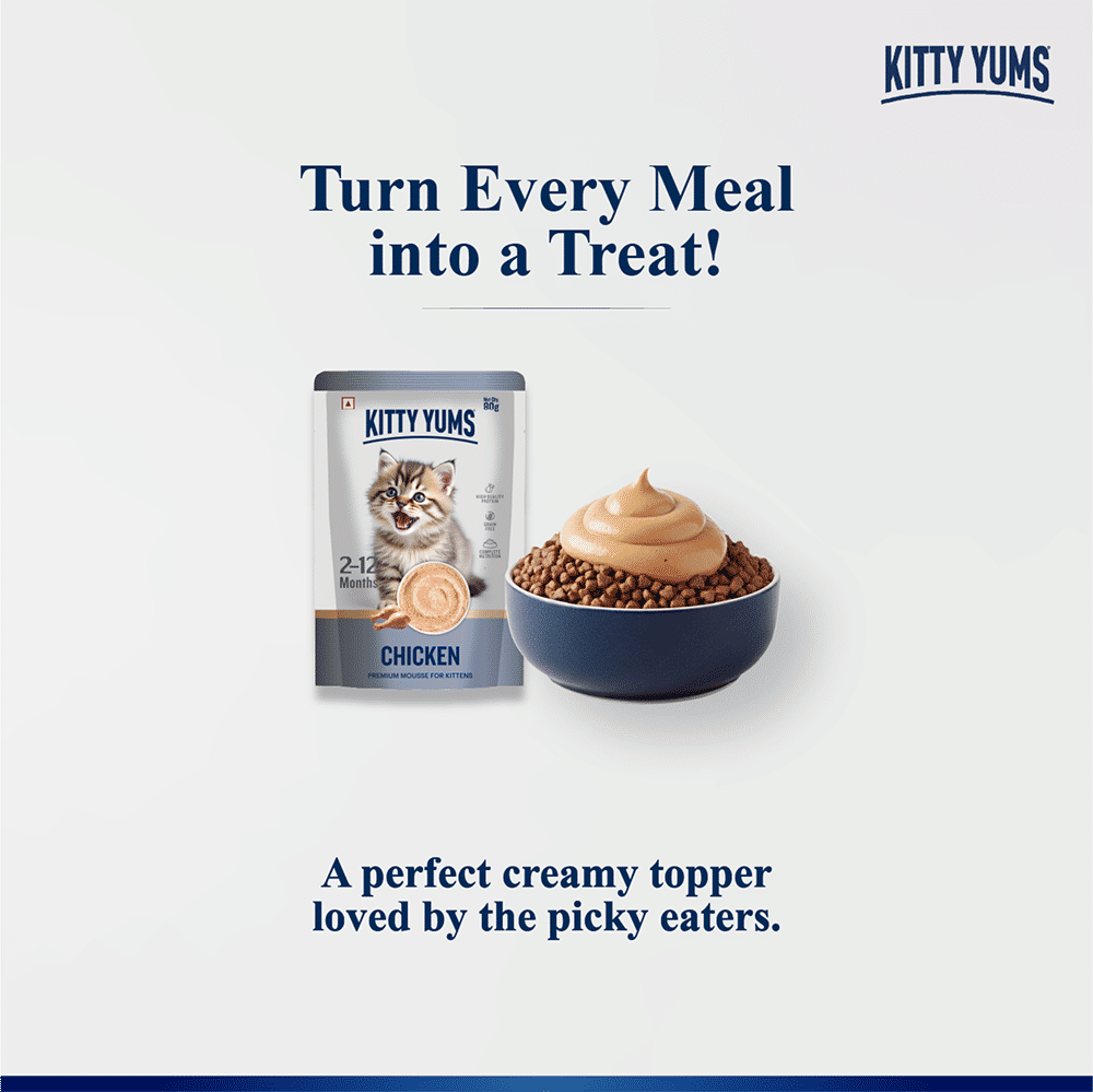 Kitty Yum Chicken Mousse Kitten Cat Wet Food — side view