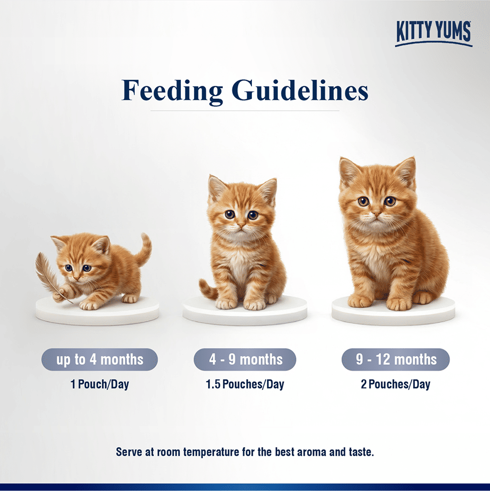 Kitty Yum Chicken Mousse Kitten Cat Wet Food — in use