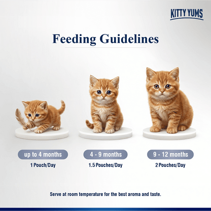 Kitty Yum Chicken Mousse Kitten Cat Wet Food — in use