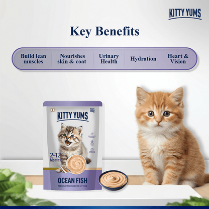 Kitty Yum Ocean Fish Mousse Kitten Cat Wet Food — back view