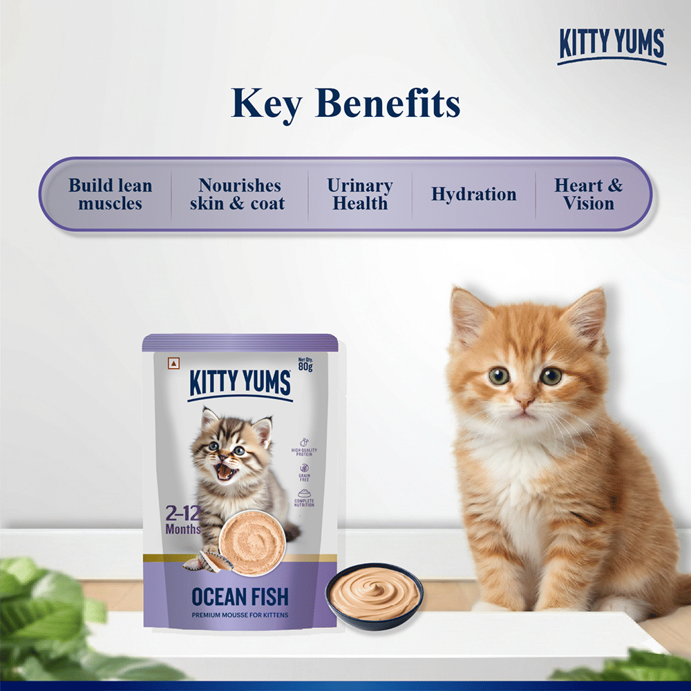 Kitty Yum Ocean Fish Mousse Kitten Cat Wet Food — detail shot