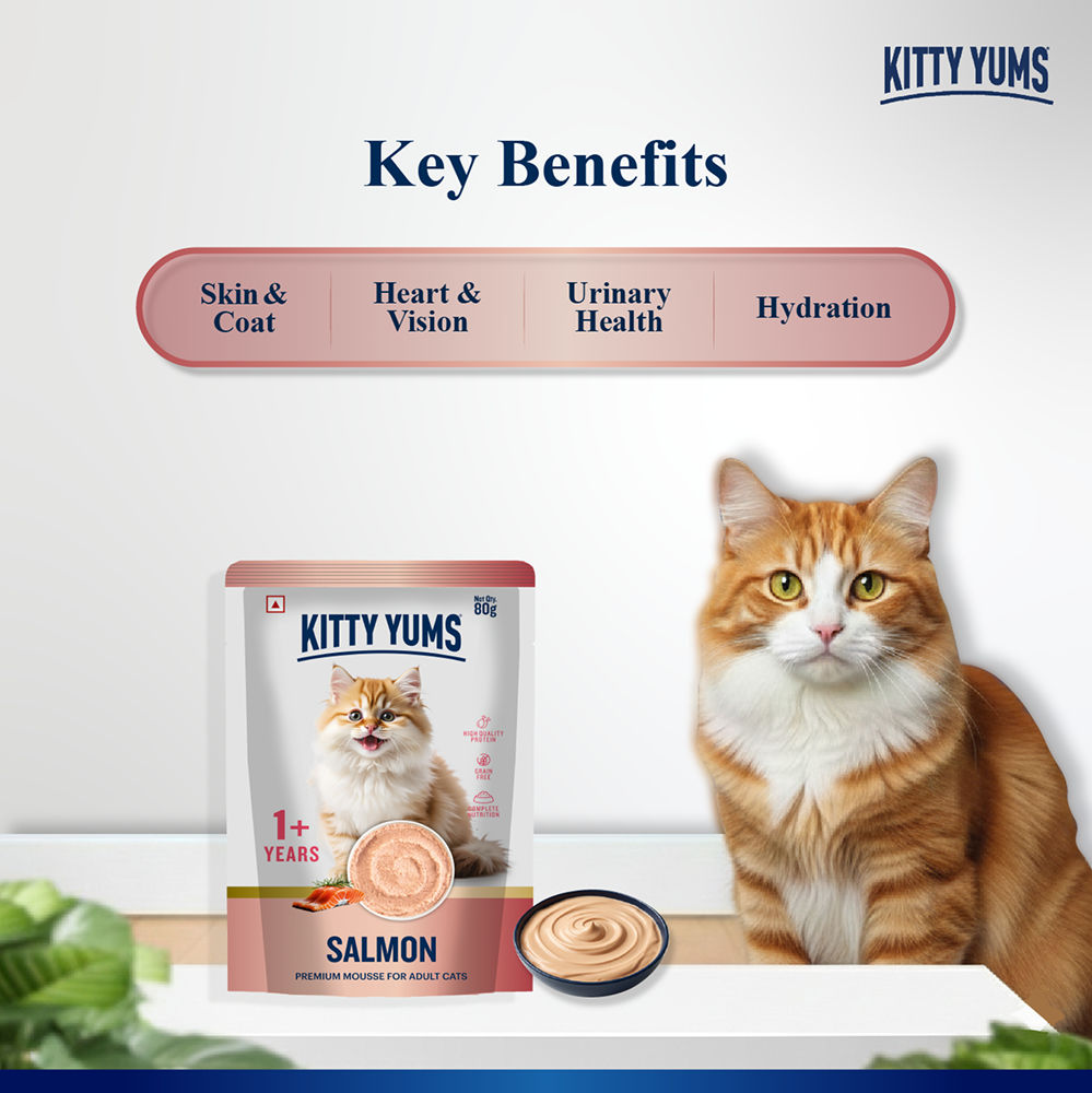 Kitty Yum Salmon Mousse Adult Cat Wet Food — back view