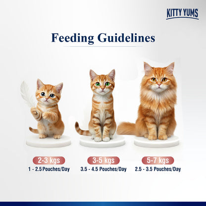 Kitty Yum Salmon Mousse Adult Cat Wet Food — detail shot