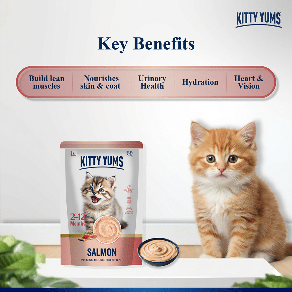 Kitty Yum Salmon Mousse Kitten Cat Wet Food — side view
