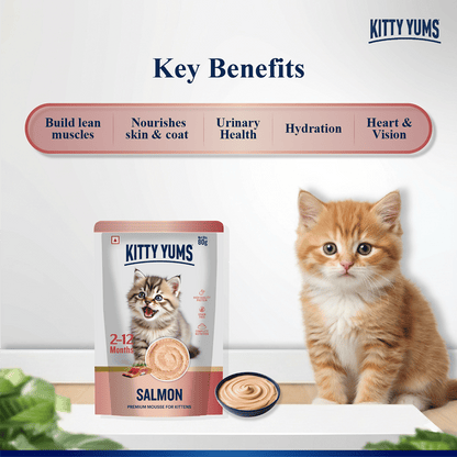 Kitty Yum Salmon Mousse Kitten Cat Wet Food — side view