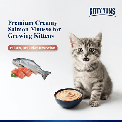 Kitty Yum Salmon Mousse Kitten Cat Wet Food — detail shot