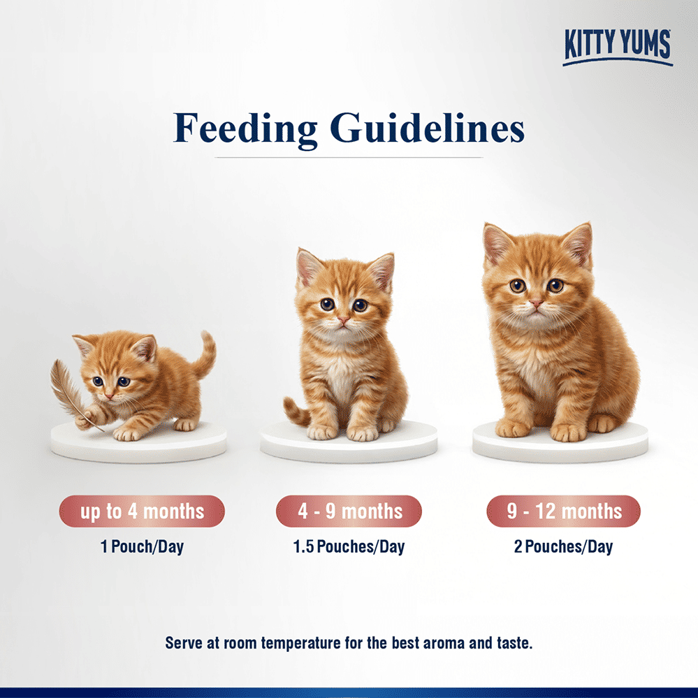 Kitty Yum Salmon Mousse Kitten Cat Wet Food — in use