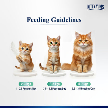 Kitty Yum Tuna Mousse Adult Cat Wet Food — in use