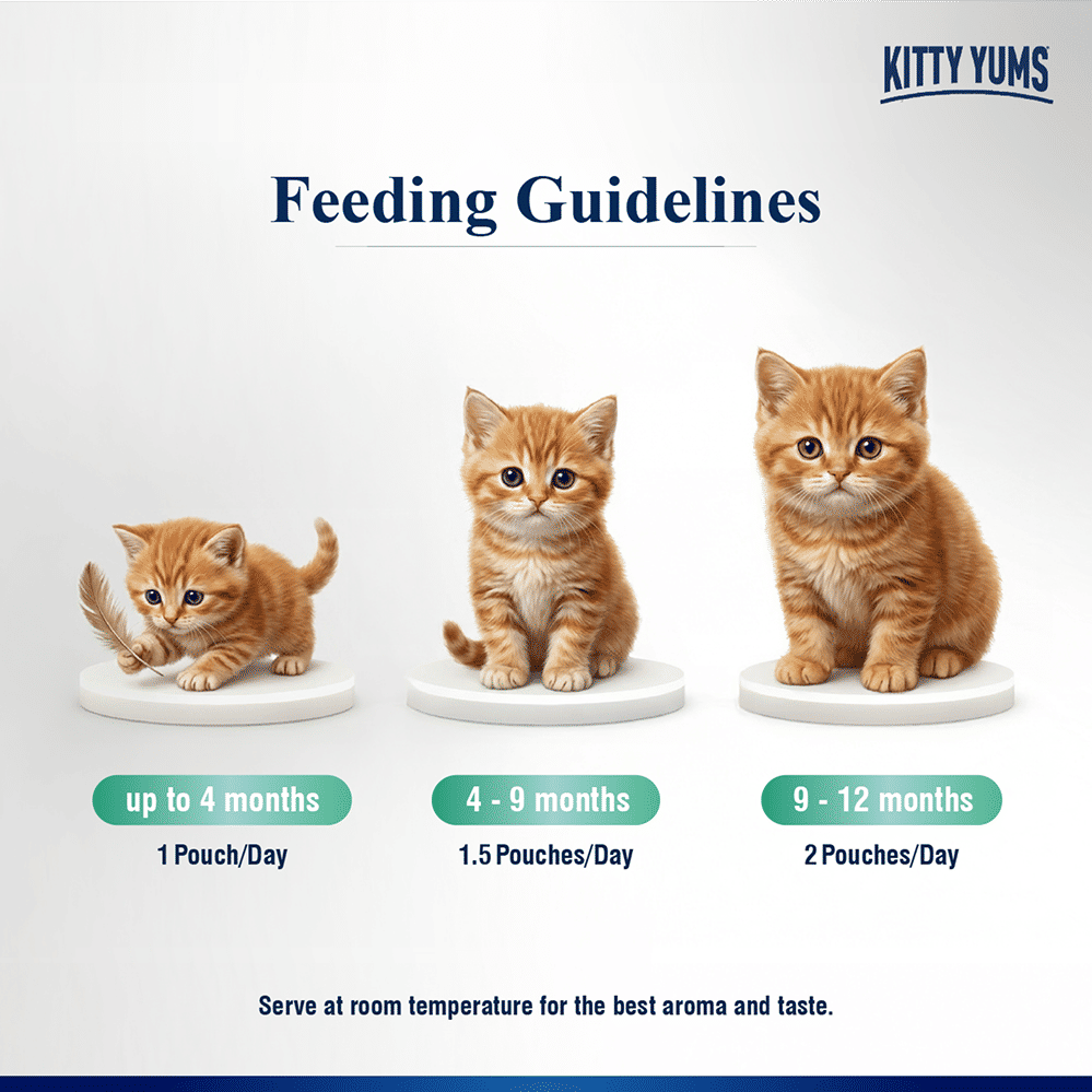 Kitty Yum Tuna Mousse Kitten Cat Wet Food — back view