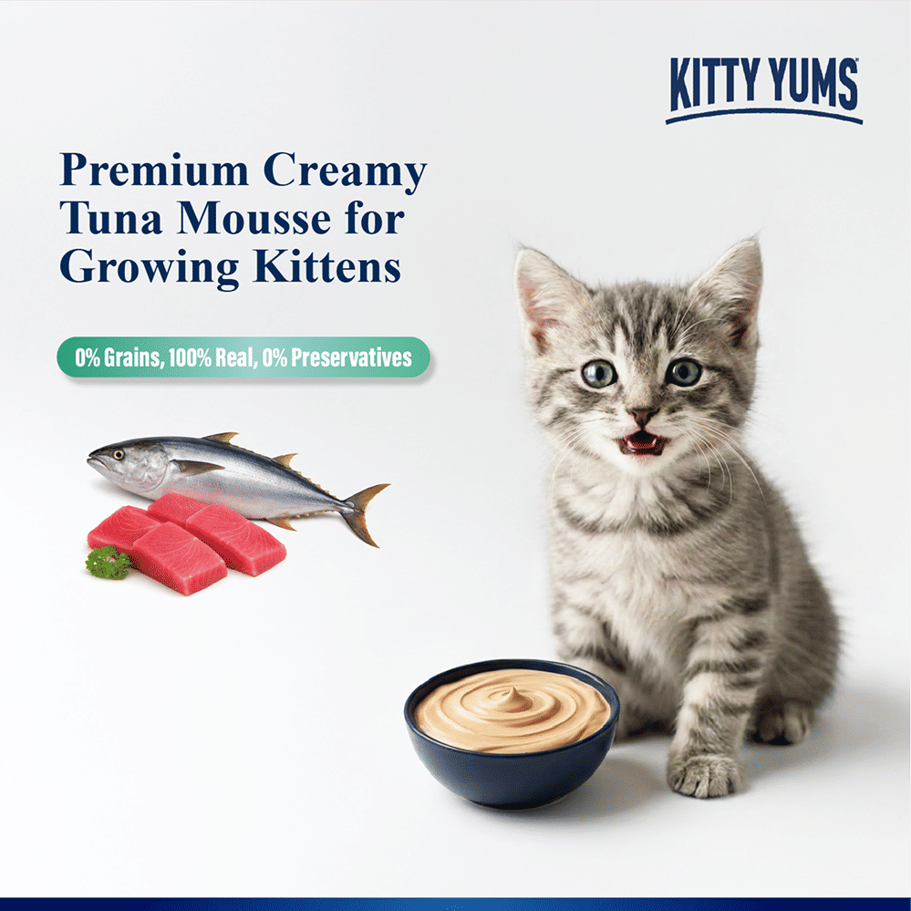Kitty Yum Tuna Mousse Kitten Cat Wet Food — detail shot