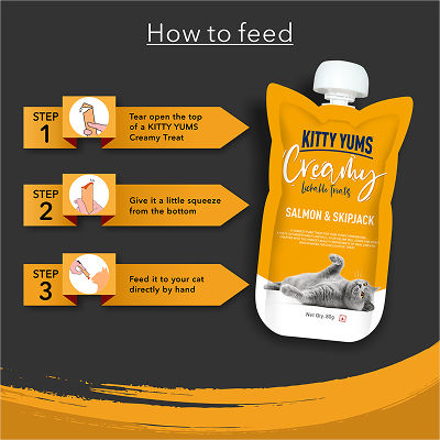 Kitty Yums Lickable Salmon & Skipjack Creamy Cat Treat — detail shot