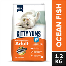 Kitty Yums Ocean Fish Adult 1 Years Cat Dry Food