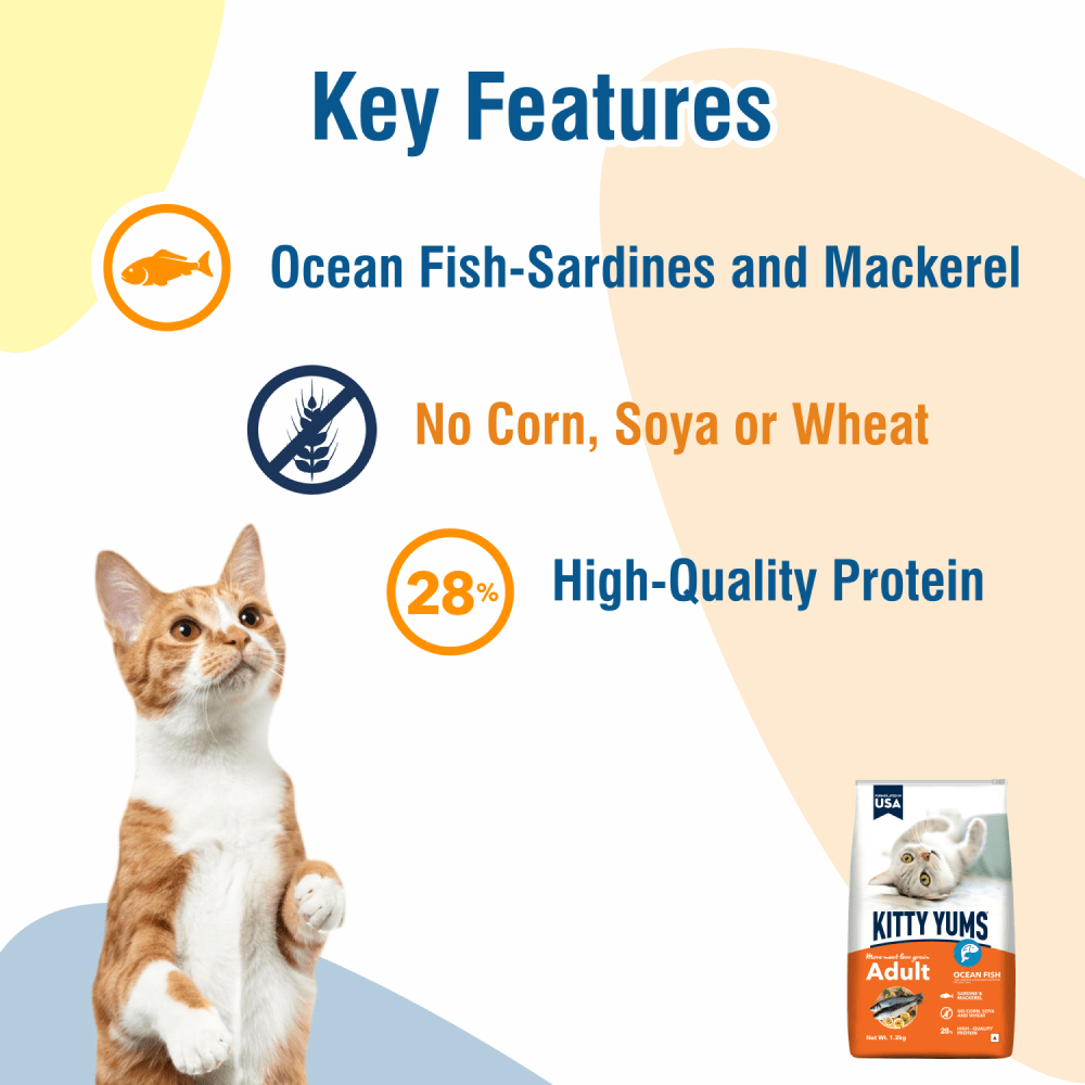 Kitty Yums Ocean Fish Adult (1+ years) Cat Dry Food — side view