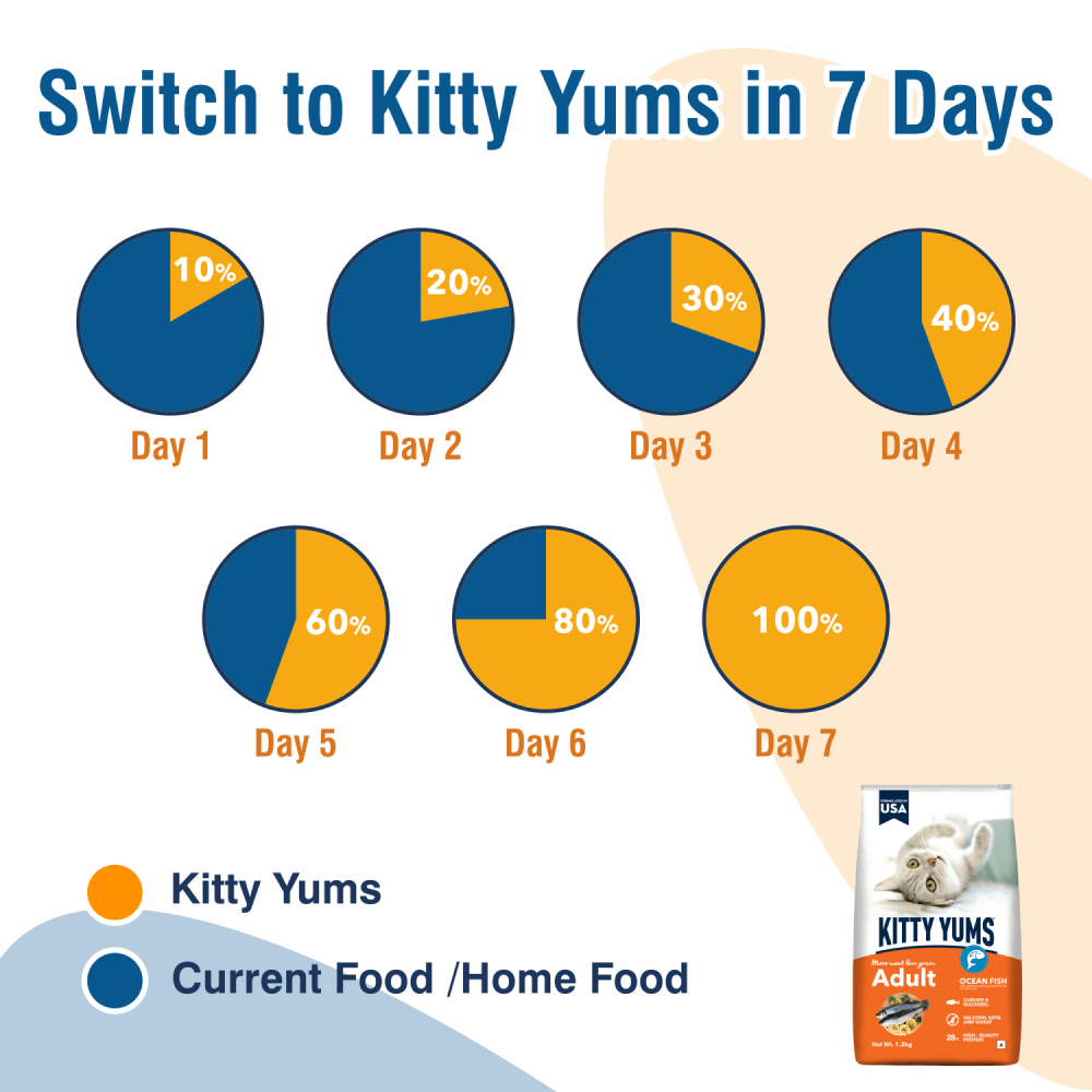 Kitty Yums Ocean Fish Adult (1+ years) Cat Dry Food — back view