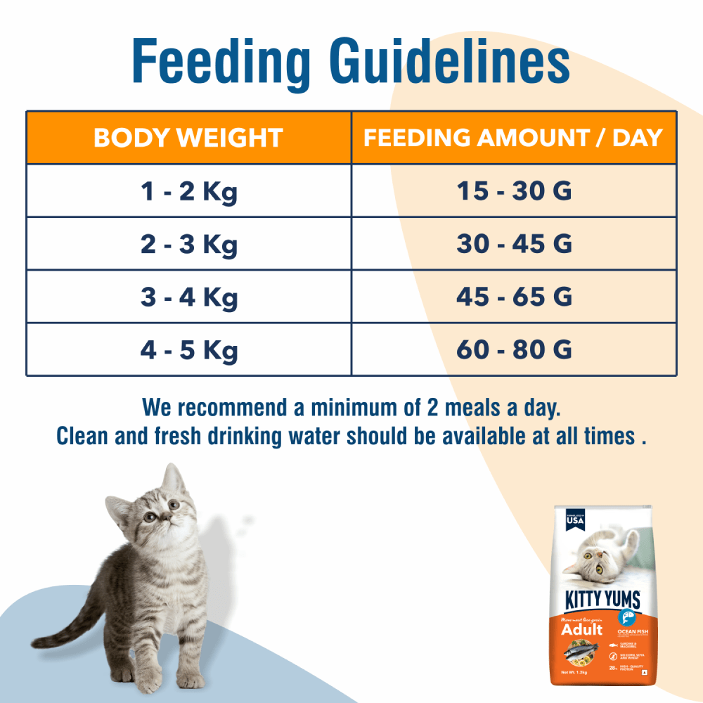 Kitty Yums Ocean Fish Adult (1+ years) Cat Dry Food — detail shot