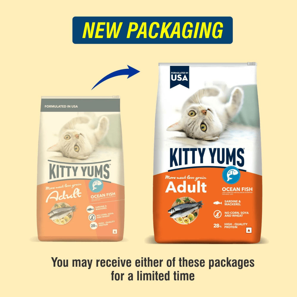 Kitty Yums Ocean Fish Adult (1+ years) Cat Dry Food — in use