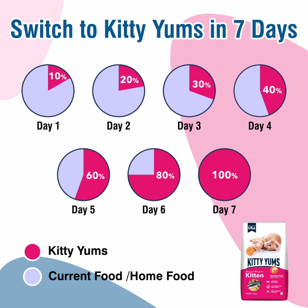Kitty Yums Ocean Fish Kitten (1 to 12 Months) Cat Dry Food — detail shot