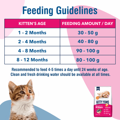 Kitty Yums Ocean Fish Kitten (1 to 12 Months) Cat Dry Food — in use