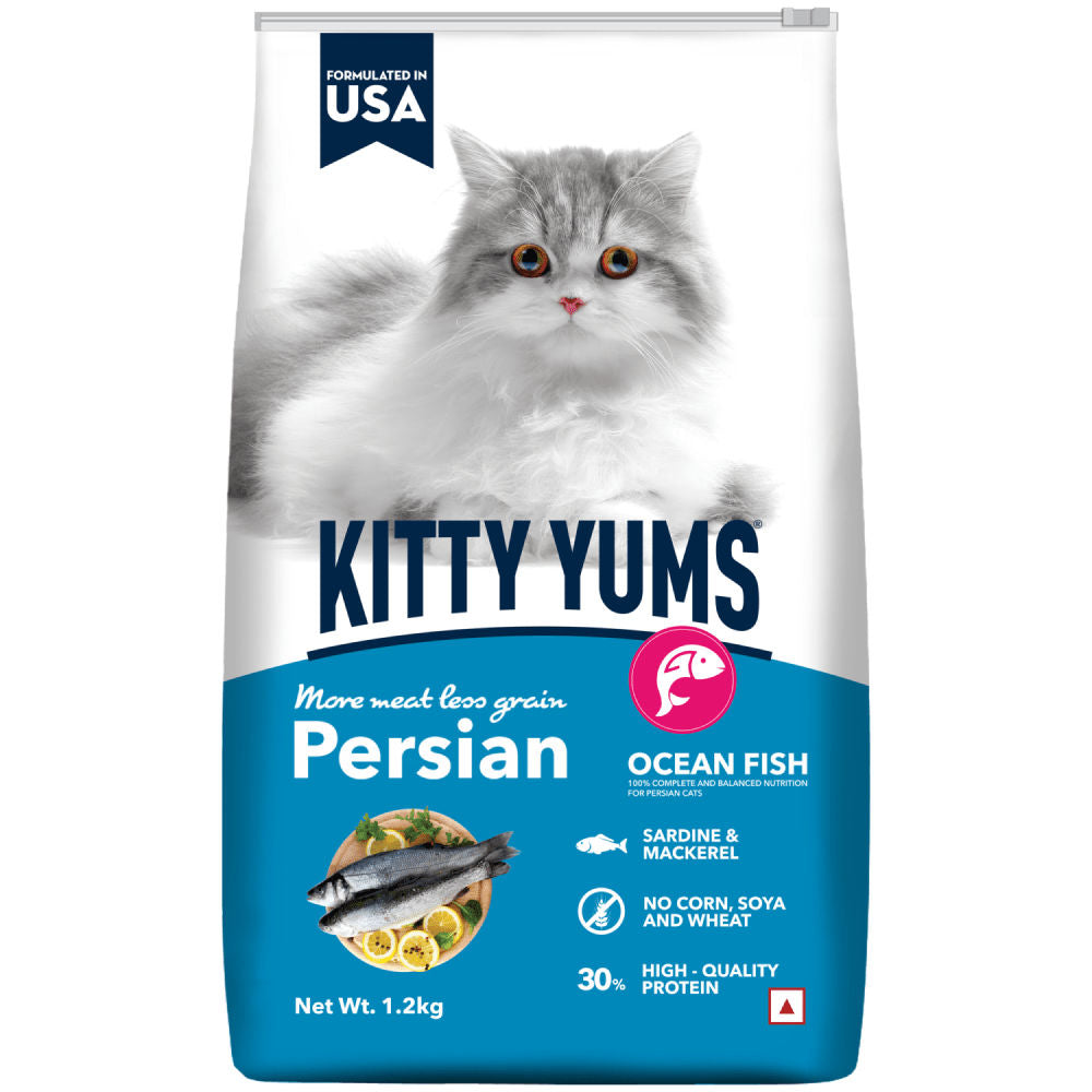 Kitty Yums Ocean Fish Persian Cat Dry Food — detail shot
