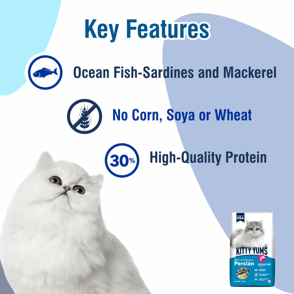 Kitty Yums Ocean Fish Persian Cat Dry Food — in use