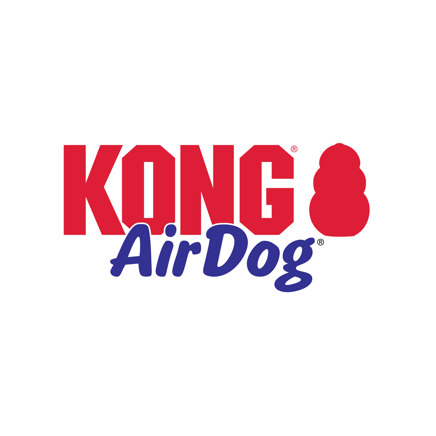 Kong AirDog Bone Toy for Dogs — back view