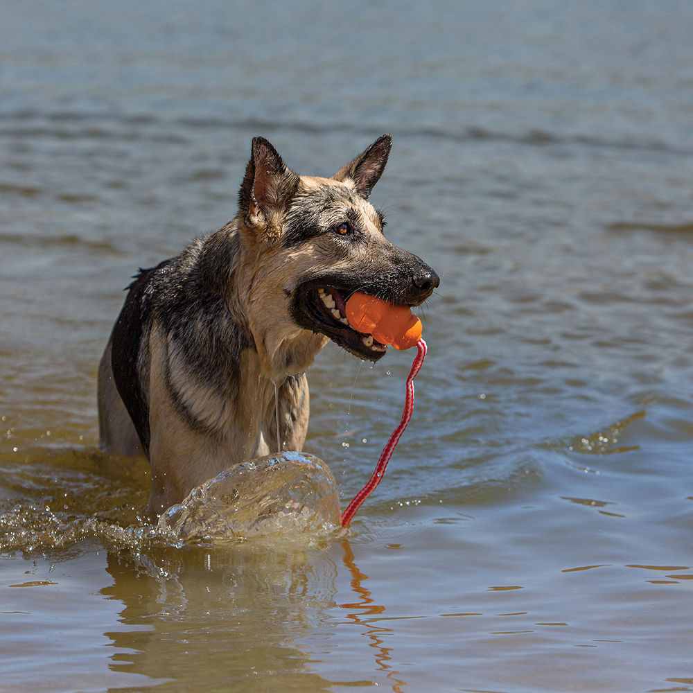 Kong Aqua Toy for Dogs — side view