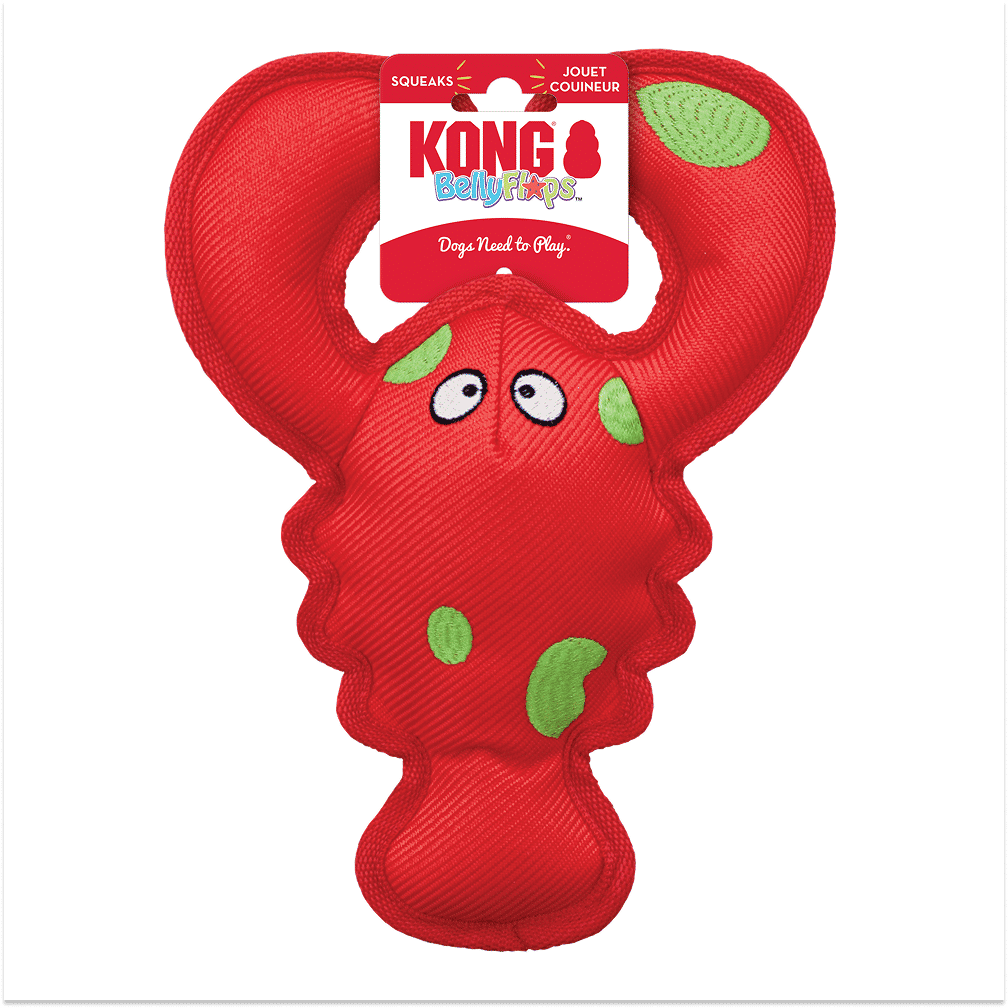 Kong Belly Flops Lobster Toy for Dogs — back view