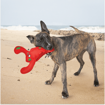 Kong Belly Flops Lobster Toy for Dogs — detail shot