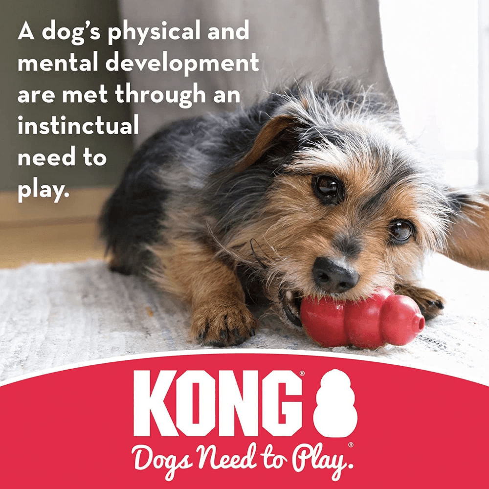 Kong Binkie Puppy Chew Toy for Dogs — in use