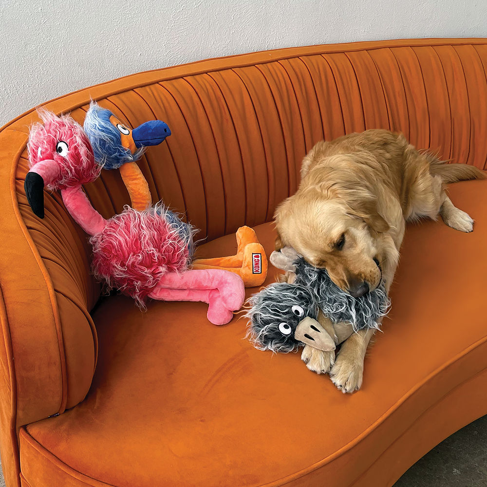 Kong Comfort Jumbo Birds Toy for Dogs — side view