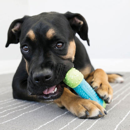 Kong CoreStrength Bone Toy for Dogs — back view