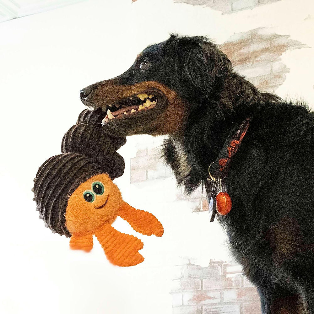 Kong Cuteseas Rufflez Hermit Crab Toy for Dogs — side view