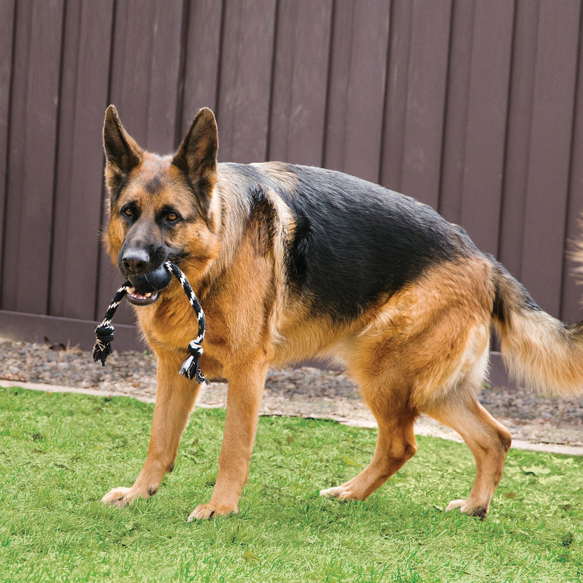 Kong Extreme Ball with Rope Toy for Dogs — side view