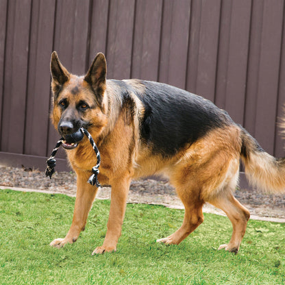 Kong Extreme Ball with Rope Toy for Dogs — side view