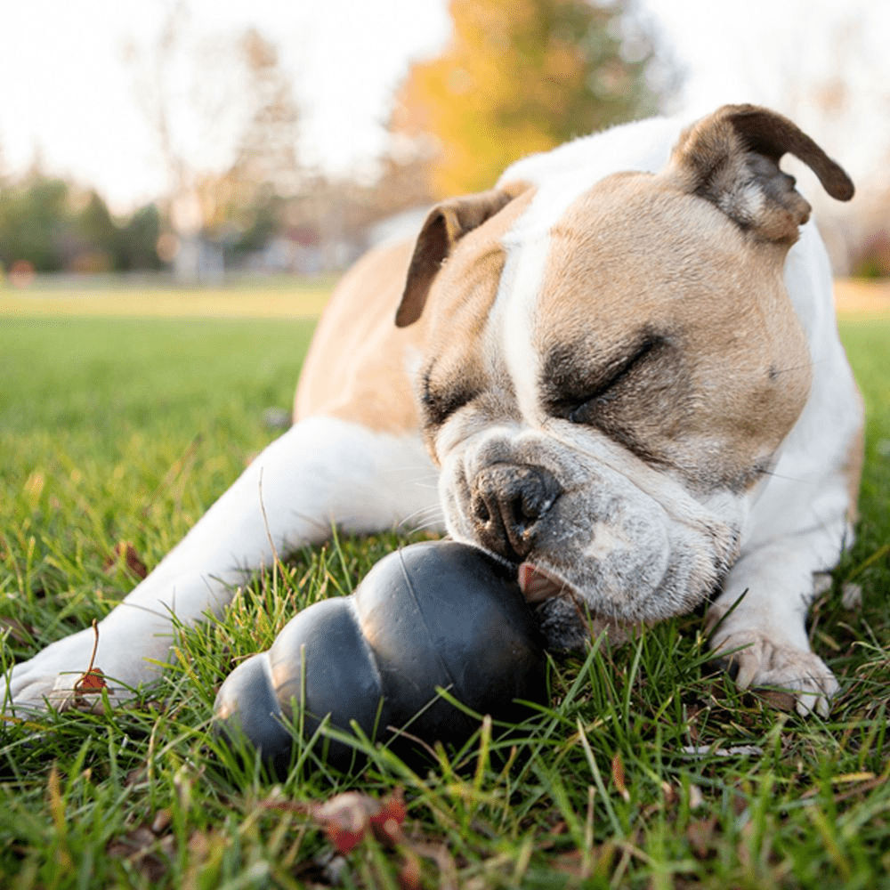 Kong Extreme Toy for Dogs (Black) | For Aggressive Chewers — detail shot